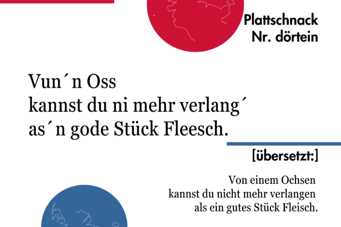 Plattschnack Nr. 13